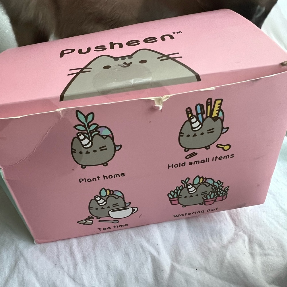 3 Pusheen containers- 1 plastic-1 ceramic  from 2018 - gaming from 2022 - Picture 8 of 16